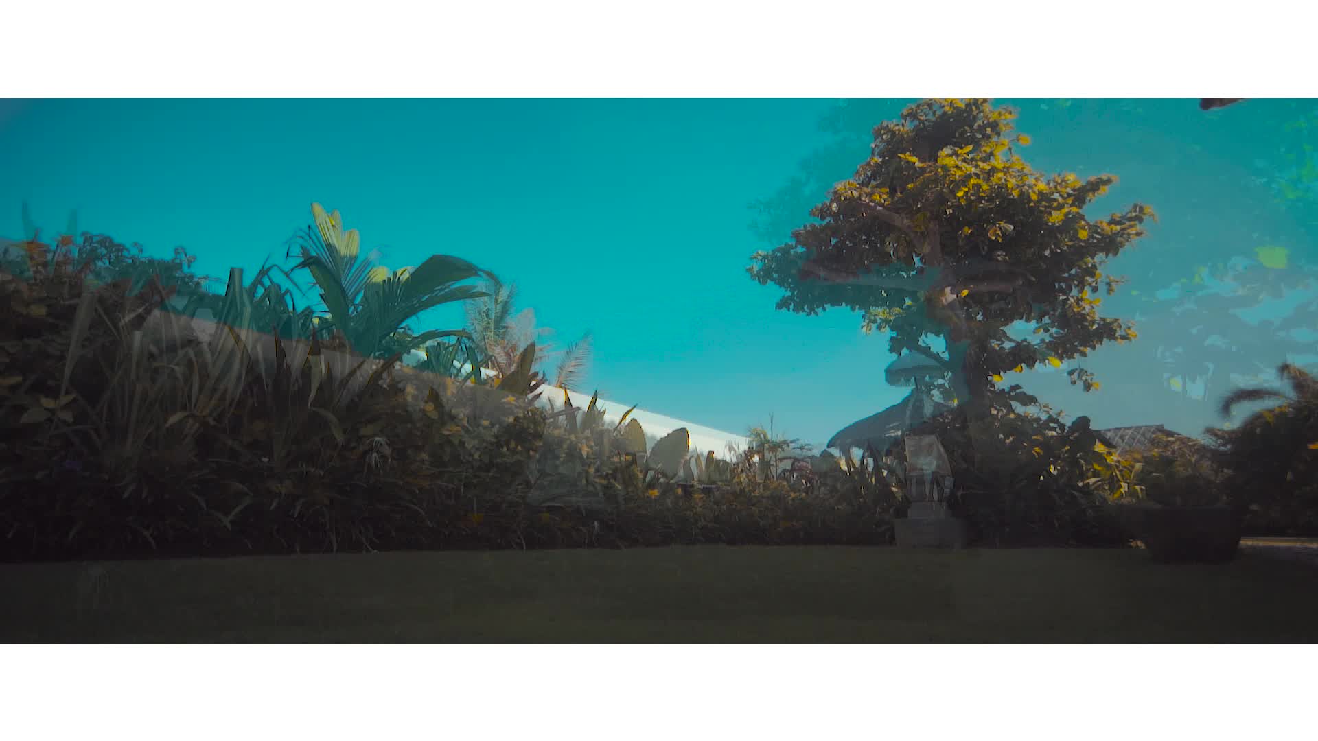 【创始人级】高端设备多机位摄像 旅行婚礼拍摄