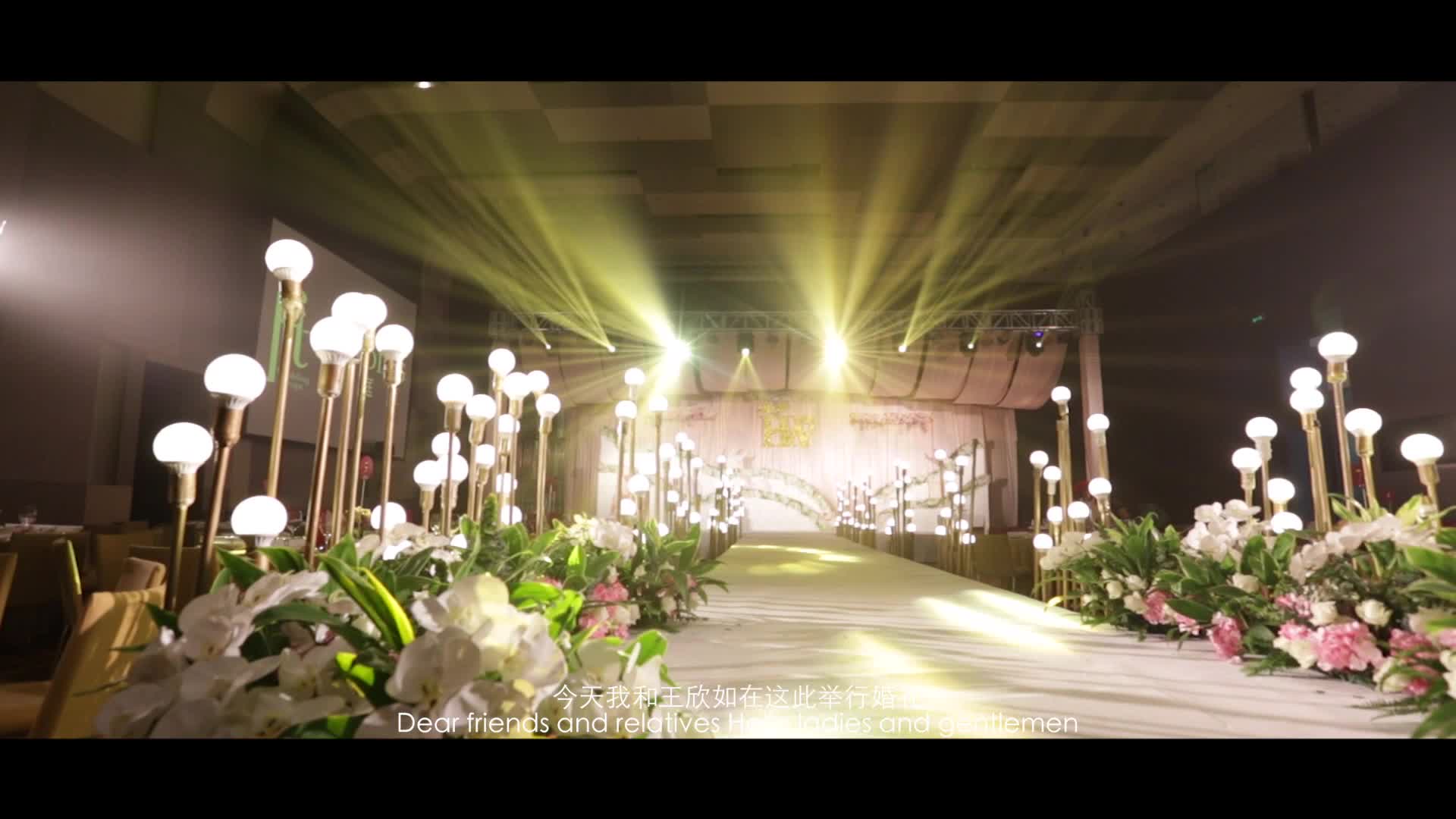 又庭雍君悦粉色小清新婚礼：恋爱中的猫