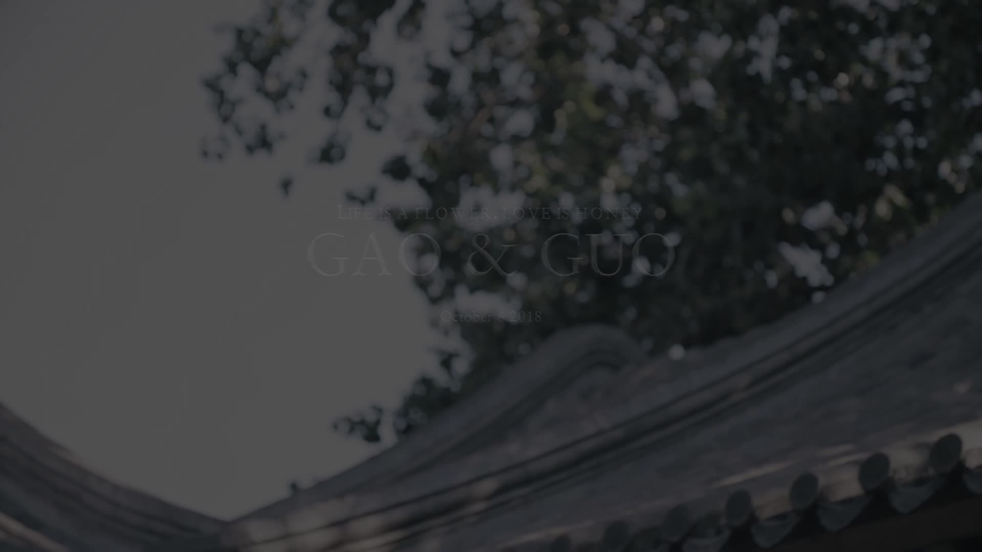 首席级三机婚礼电影    