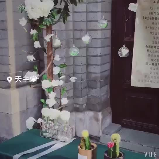 保定市天主教堂—盟约婚礼