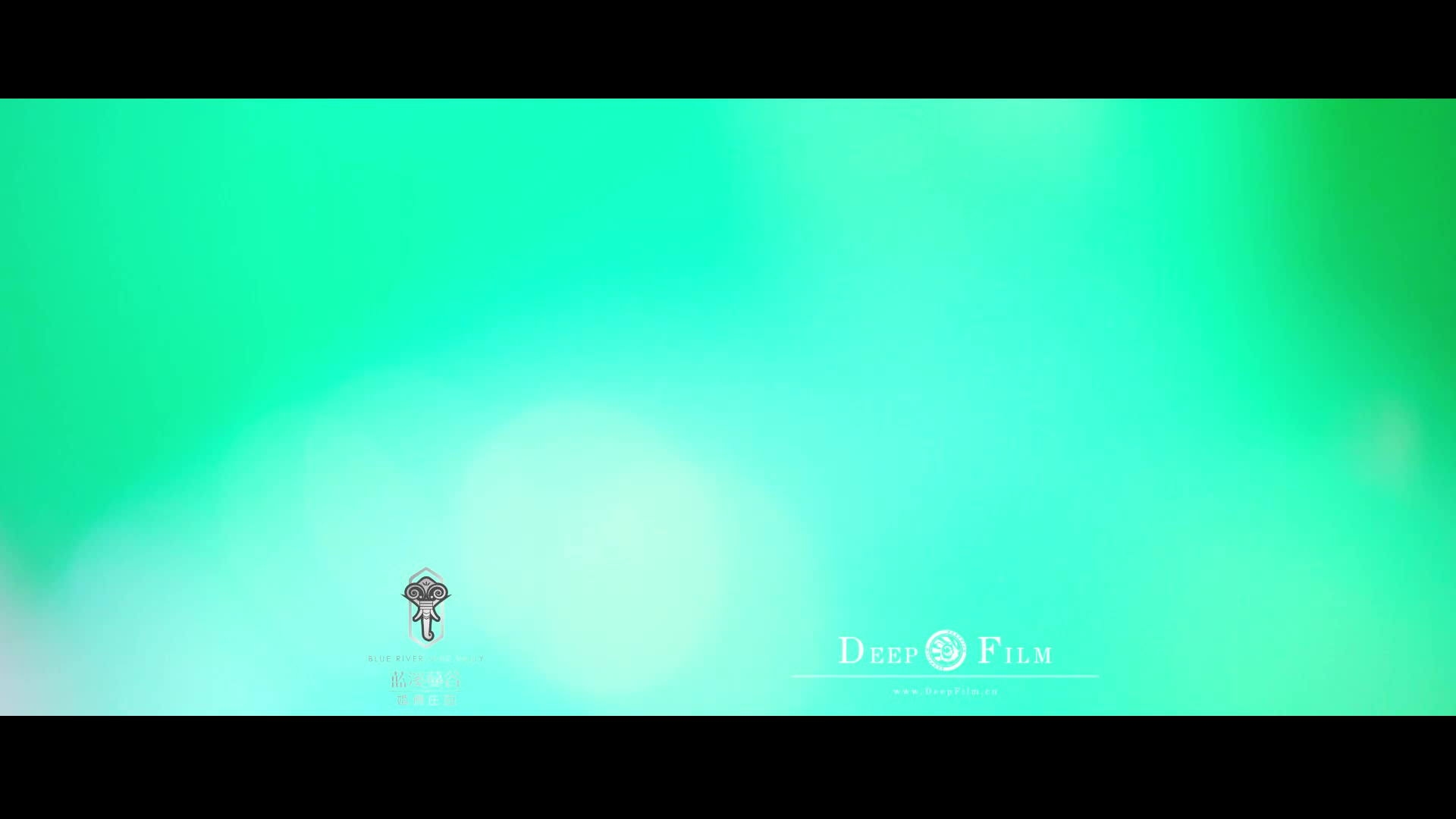 【蓝溪蔓谷】纯鲜花·经典森系婚礼