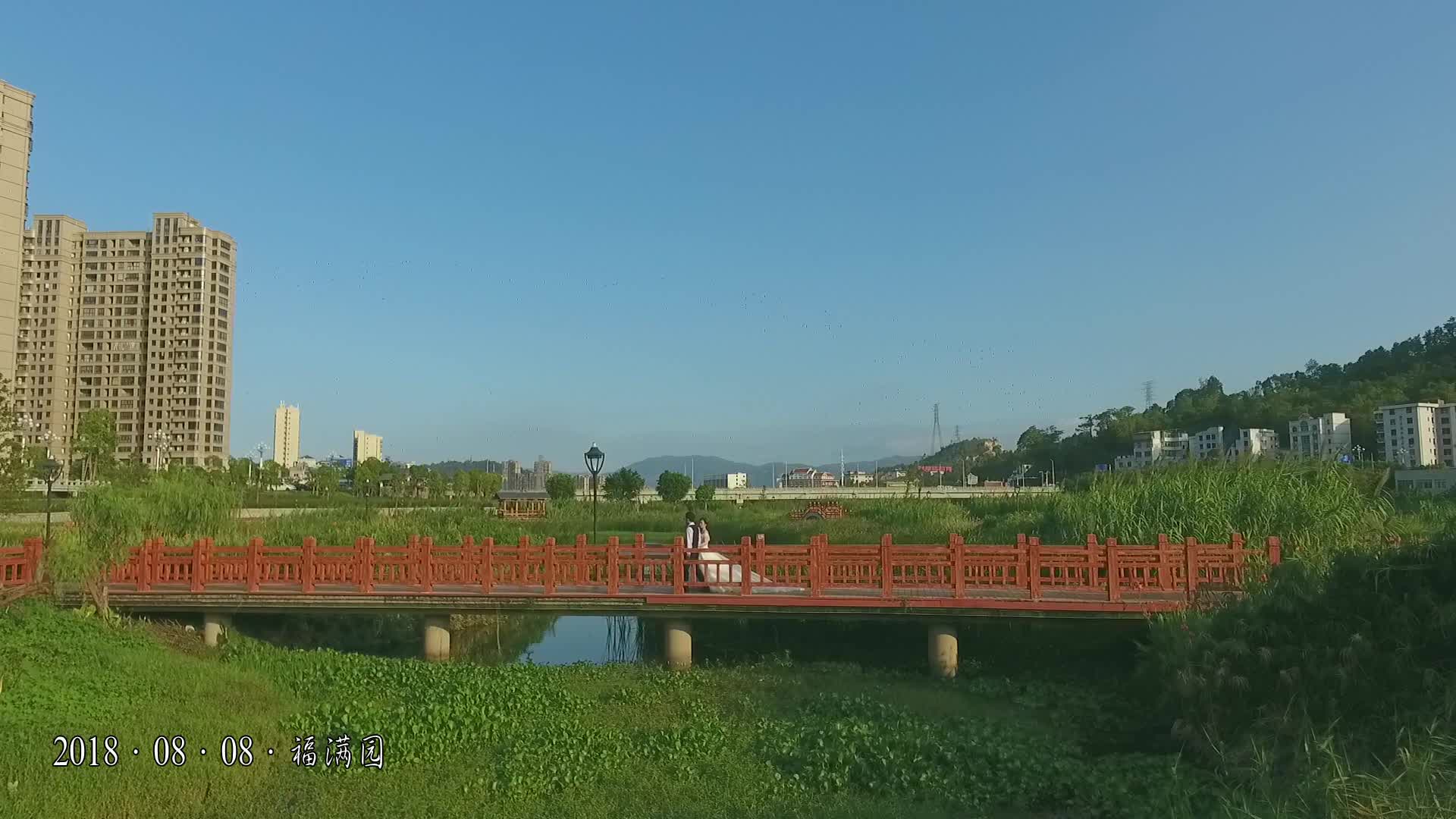 《YES I DO》一場小清新的森系婚禮