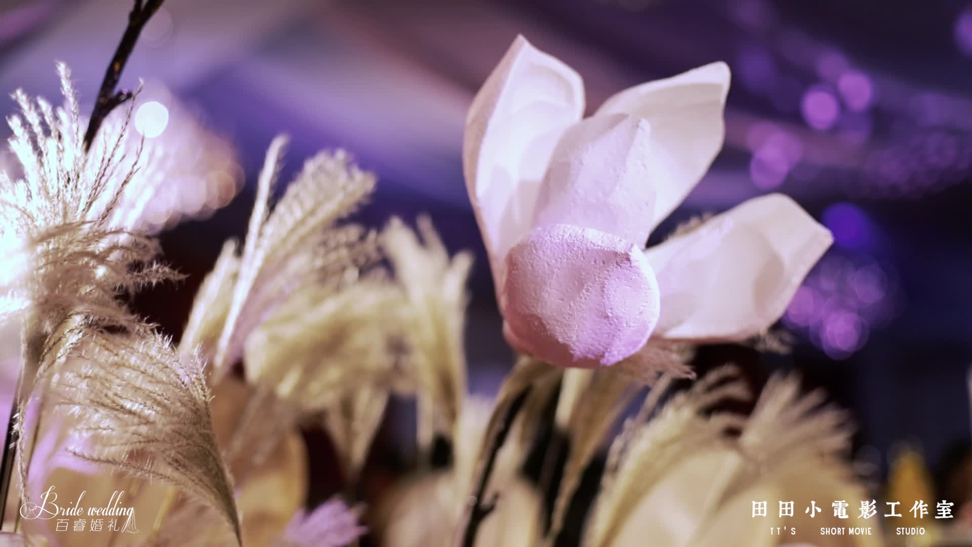 【百睿婚礼】新中式 灵犀 套餐折上八九折