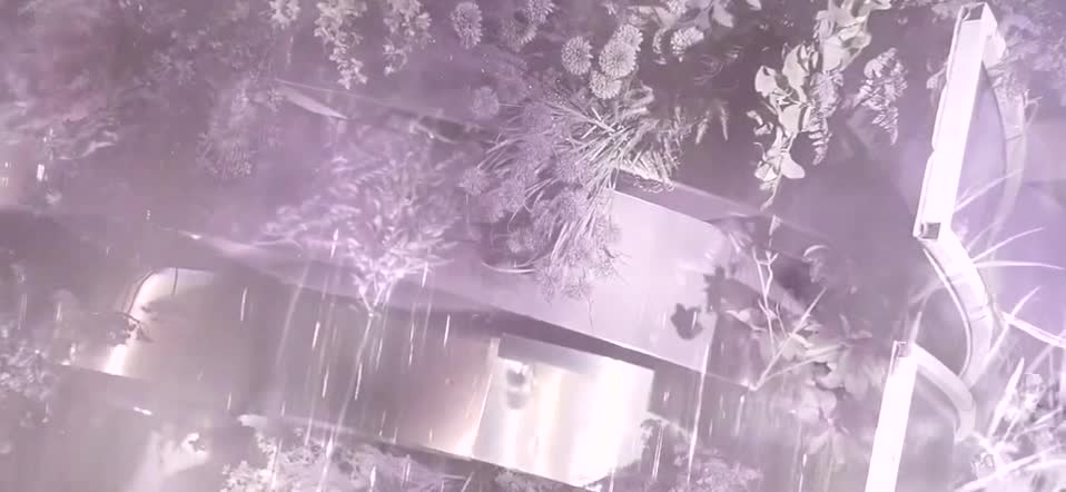 【疫情期间直降2千】梦幻紫色现场+首席四大