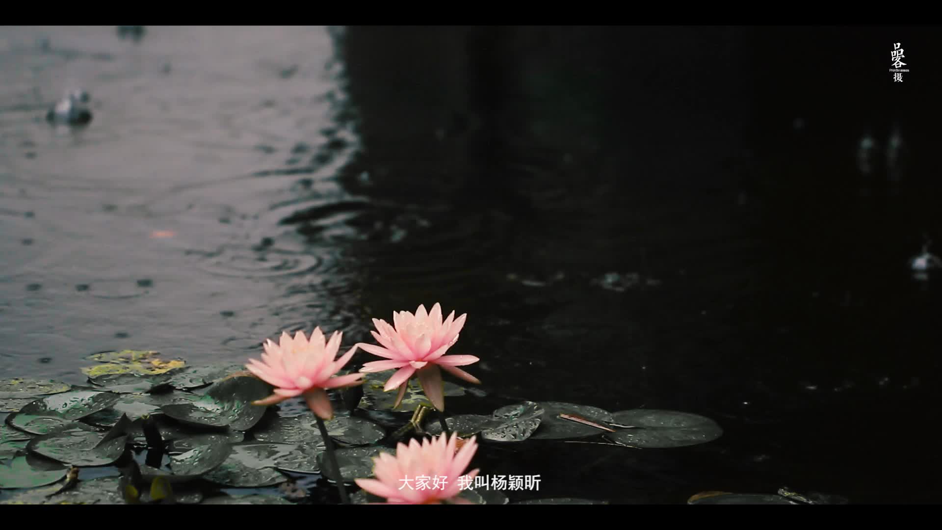 【品客摄摄影像】总监双机档婚礼拍摄