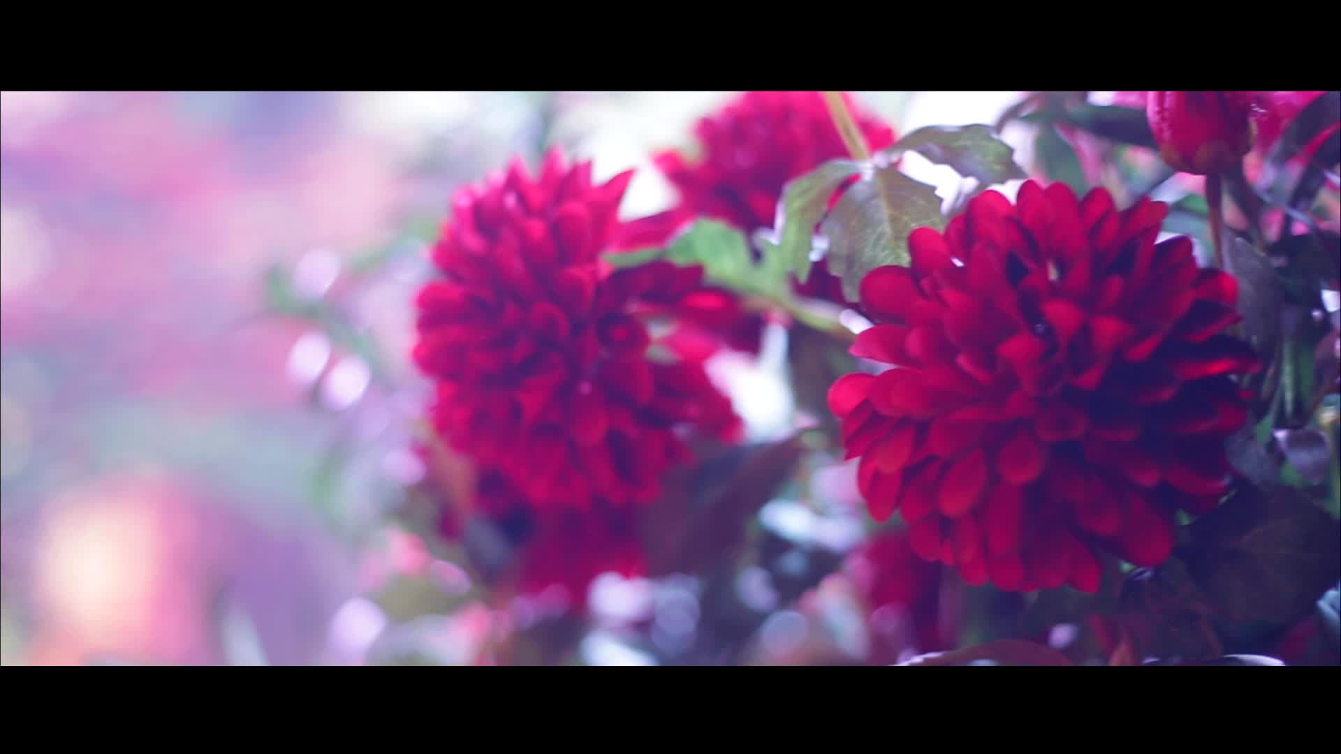 【红金欧式】铂爵宫凡尔赛殿堂背景大屏婚礼