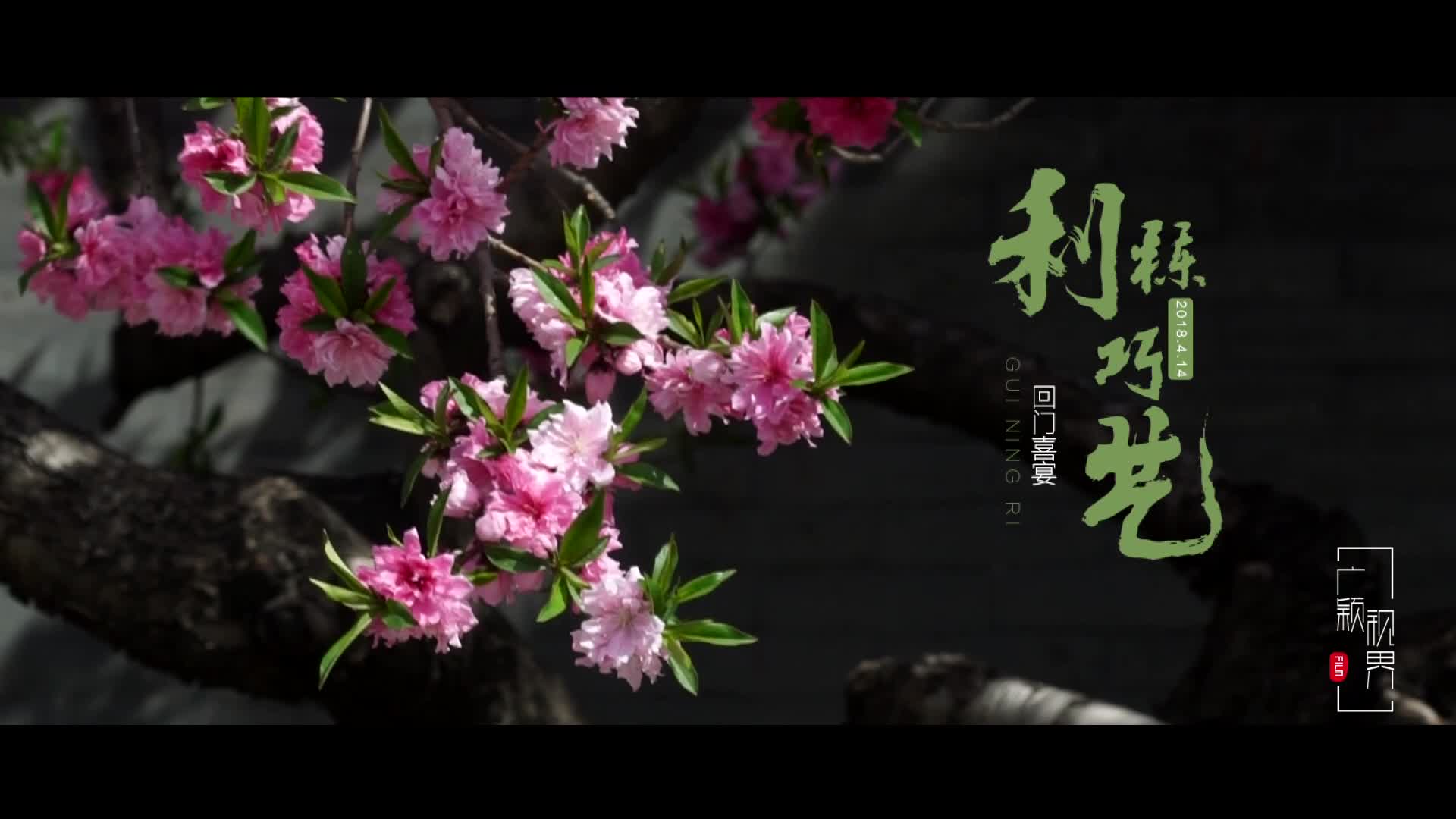 【大型婚礼】大摇臂+双机摄像+双机摄影（总监级）