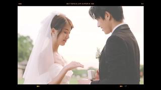 NP婚礼微电影：婚礼MV案例