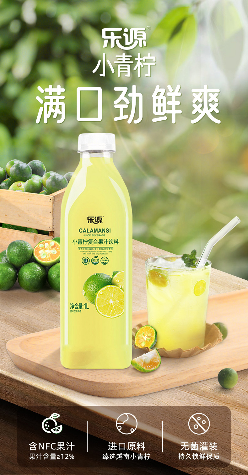 五粮液富贵吉祥精致52度白酒500ml