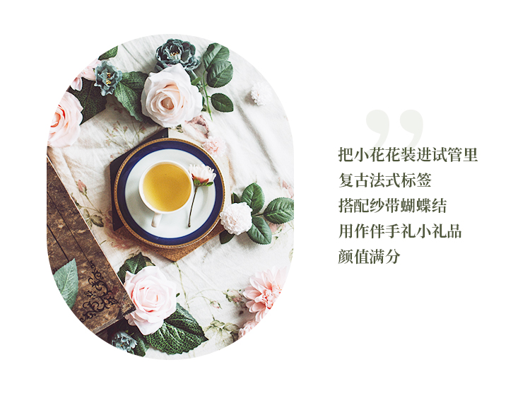 試管花茶伴手禮喜茶小禮品小物件伴娘創(chuàng)意森系戶外婚禮搭配禮品