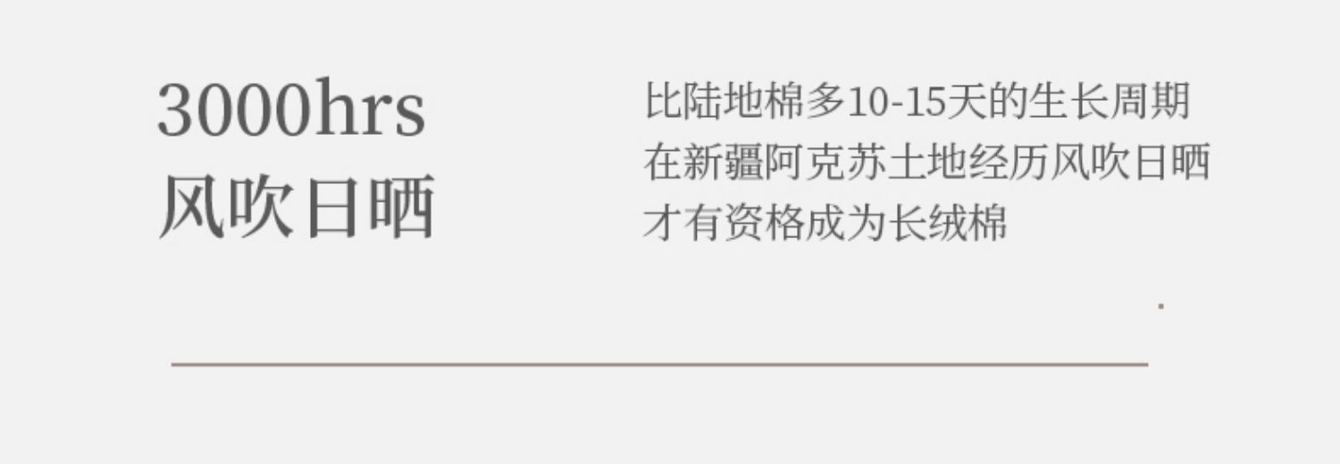 【隱形防滑】5雙裝 冰絲船襪女春夏季薄款純棉底不掉跟短襪婚鞋高跟鞋淺口隱形襪子